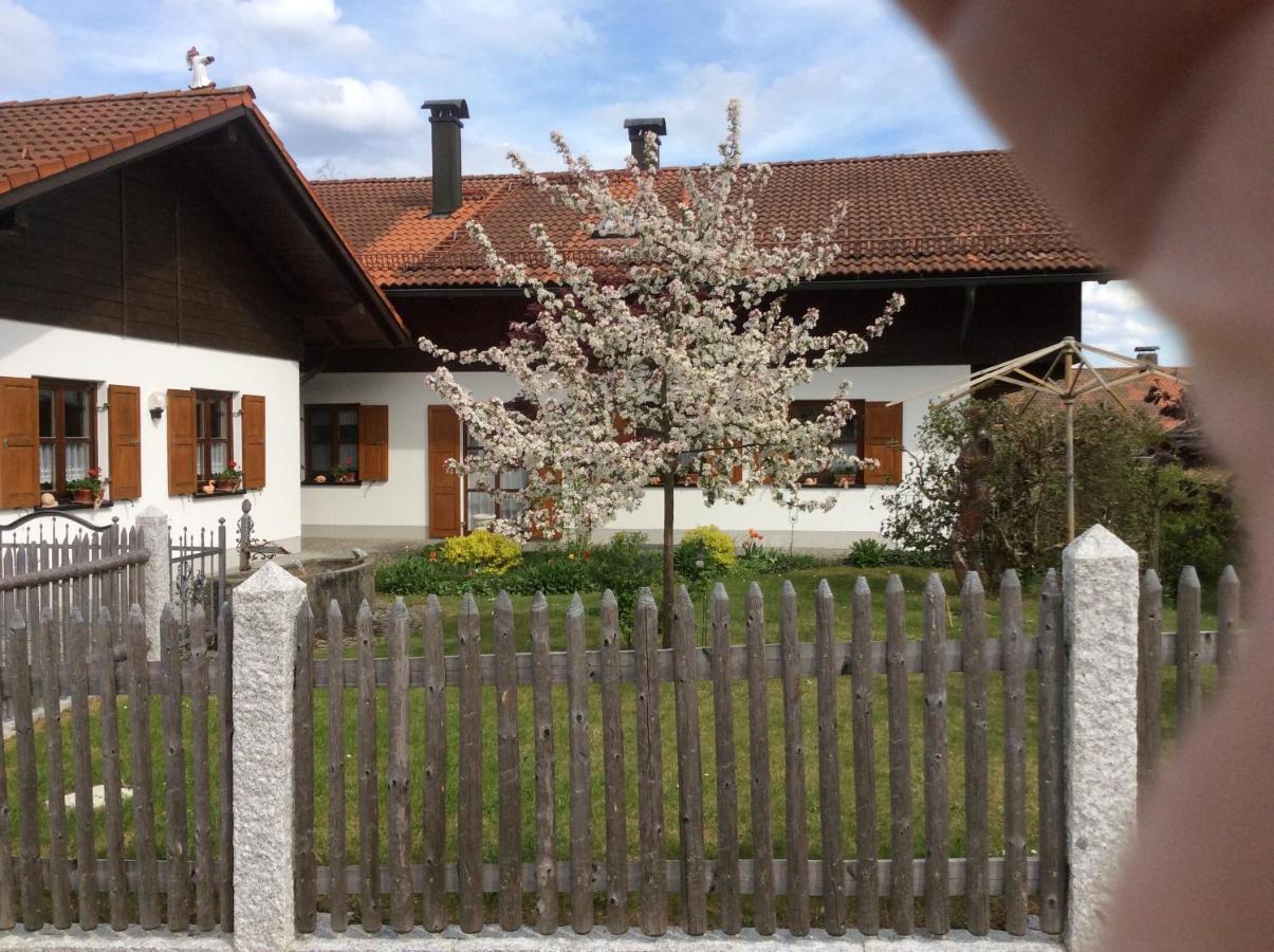 Ferienwohnung Hoermann Langdorf  Zewnętrze zdjęcie
